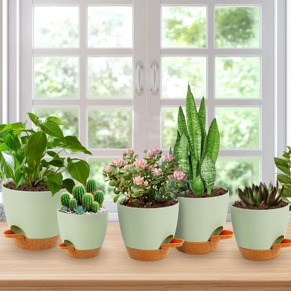 Plant Pots,5 Pack Self Watering Pots for Indoor Plants,7/6.5/6/5.5/5 Inch Flower Pots,Plant Pot Indoors with Drainage Holes and Reservoir Saucers,Premium Plastic Material Planters for Indoors Plants